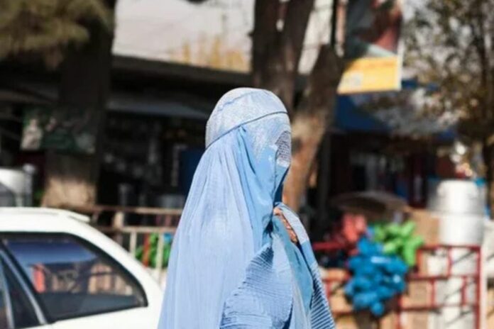 Afghanistan code pénal taliban