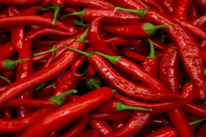 Burkina Faso usine piment Banfora