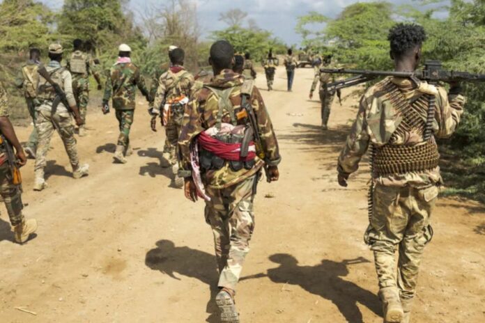 Somalie armée fédérale Baïdoa président État