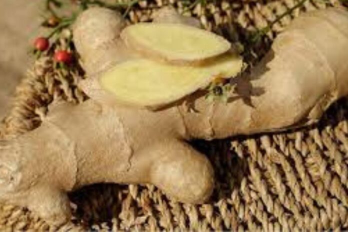 gingembre aphrodisiaque