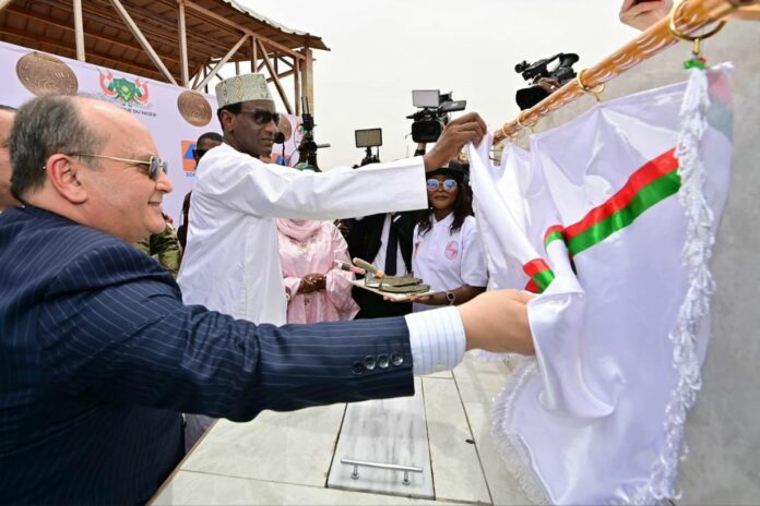 Niger Algerie centrale électrique Niamey