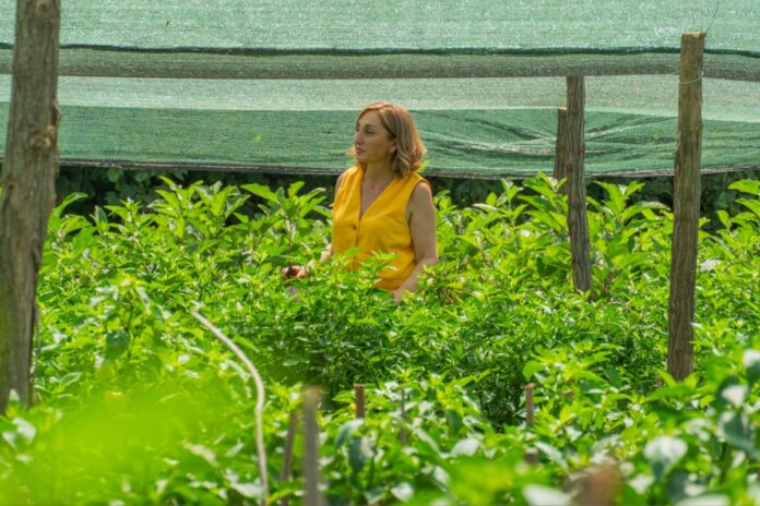 Géorgie journalisme agriculture Nino Tadiashvili 