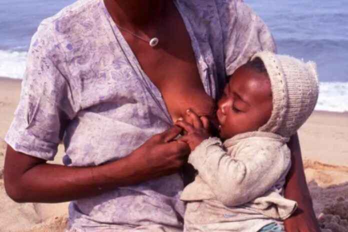 Allaitement alimentation mère santé bébé