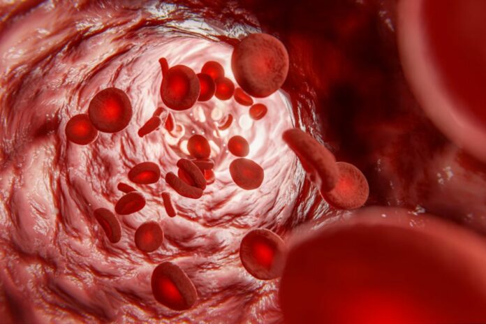 Circulation sanguine astuces naturelles jambes