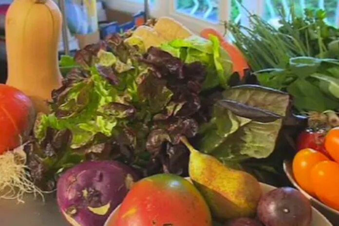 Pesticides assiette cocktail fruits légumes