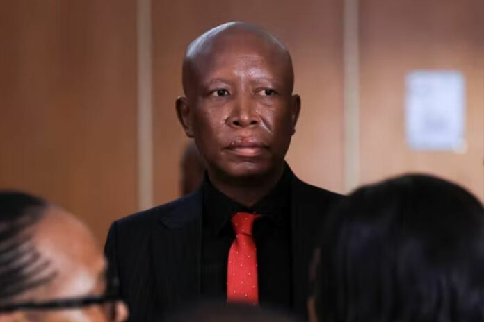 Afrique du Sud Julius Malema prison