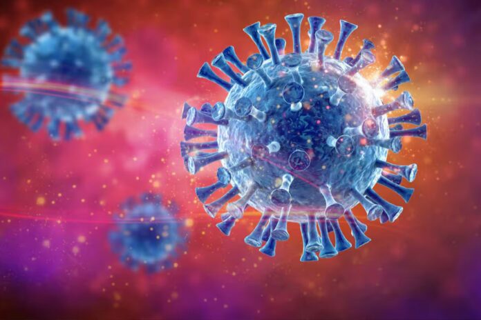 Covid-19 nouveau variant Cigale