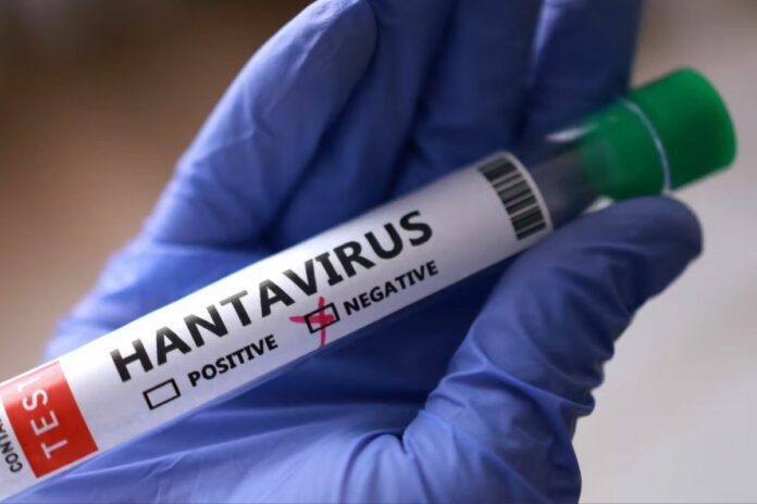 Hantavirus vaccins OMS
