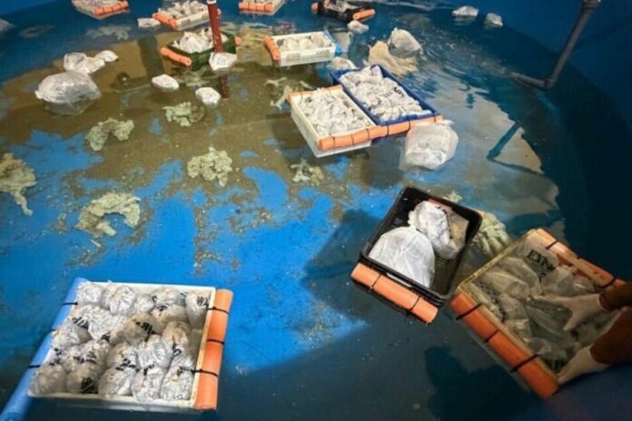 Argentine animaux marins exotiques aéroport de Buenos Aires