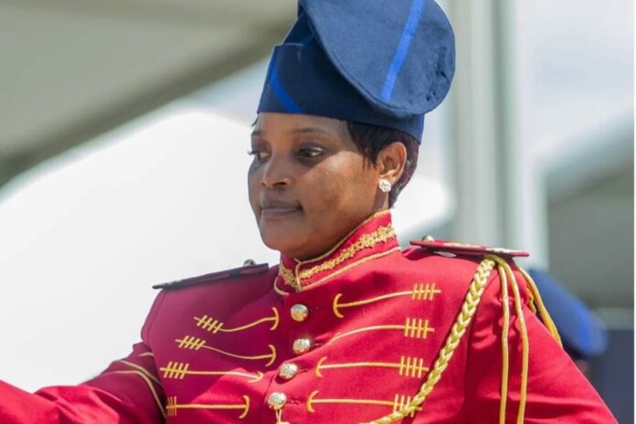 Bénin uniforme Garde d'honneur couleurs tradition