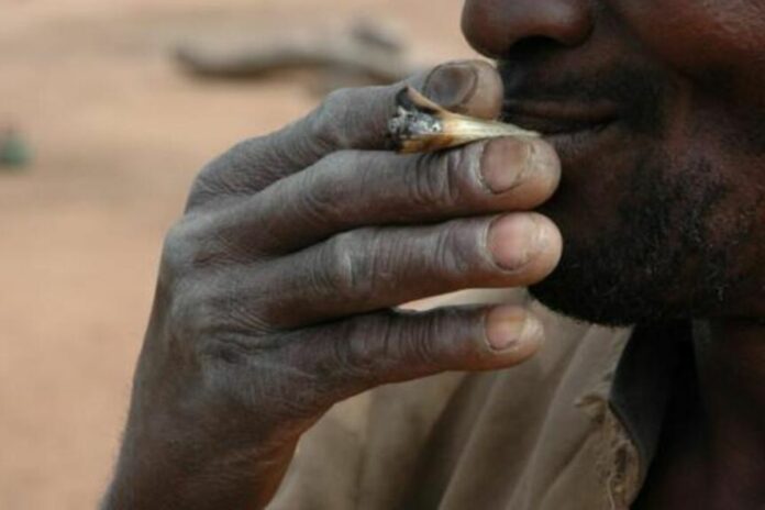 Drogues Bénin cannabis consommation