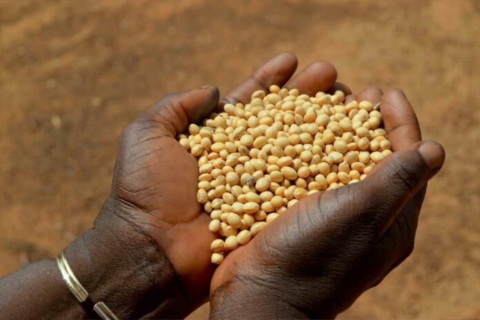 Bénin primes producteurs coton, soja, cajou riz
