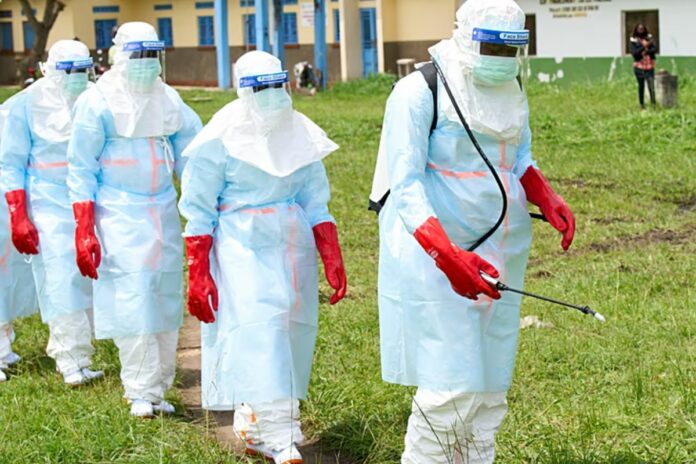 Brésil , Ebola , São Paulo, Rio de Janeiro