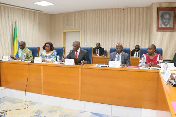 Gabon députés réformes douanes et forces de défense