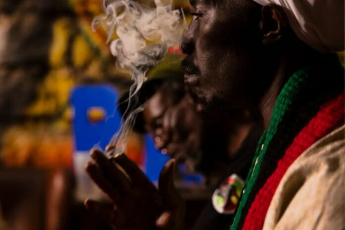 Kenya : les rastafaris espèrent obtenir le droit de consommer du cannabis