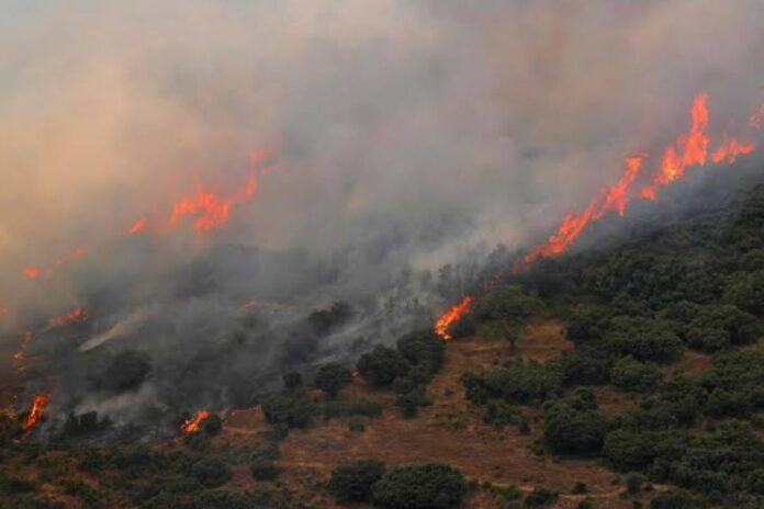 Espagne : un incendie dévore plus de 11 000 hectares en une journée