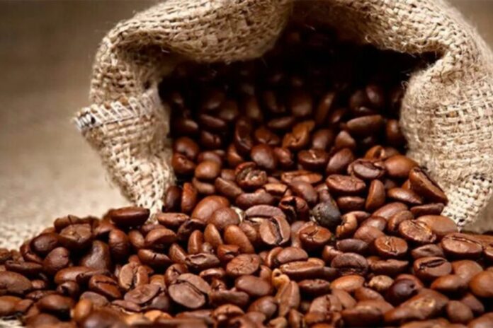 Ouganda : les recettes du café en chute libre