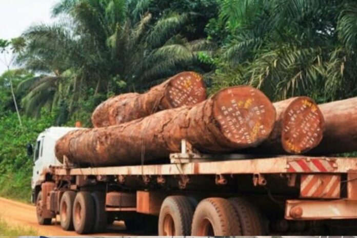 Guinée gouvernement commerce bois