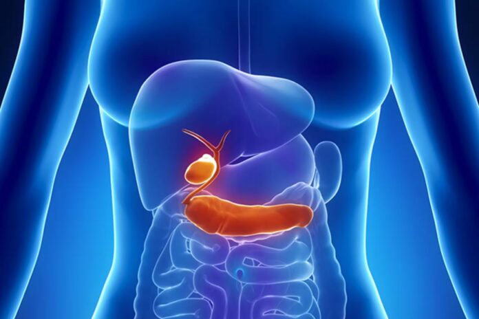 Reflux gastro-œsophagien : ces symptômes parfois trompeurs qu’il ne faut pas ignorer