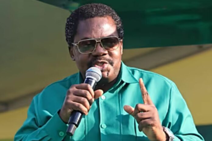 Tanzanie : le vice-président Emmanuel Nchimbi démissionne