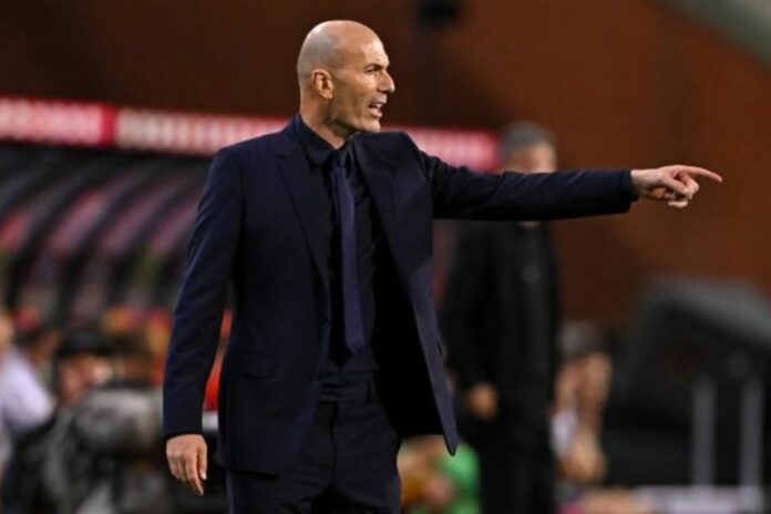 France-Belgique : la folle célébration de Zidane après le but d’Olise