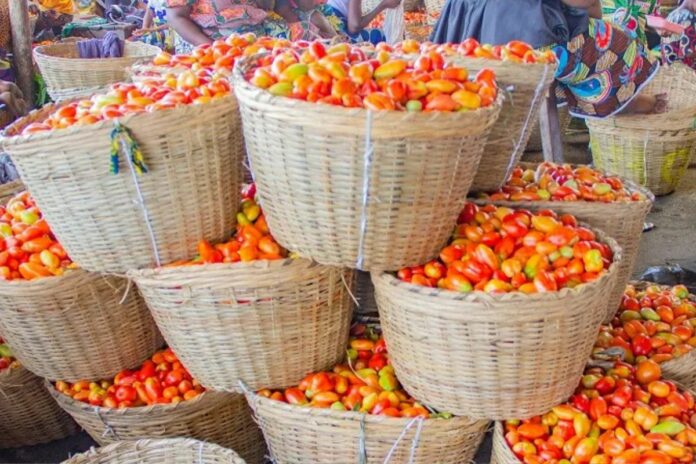 Bénin : le maïs, le riz et la tomate moins chers en août