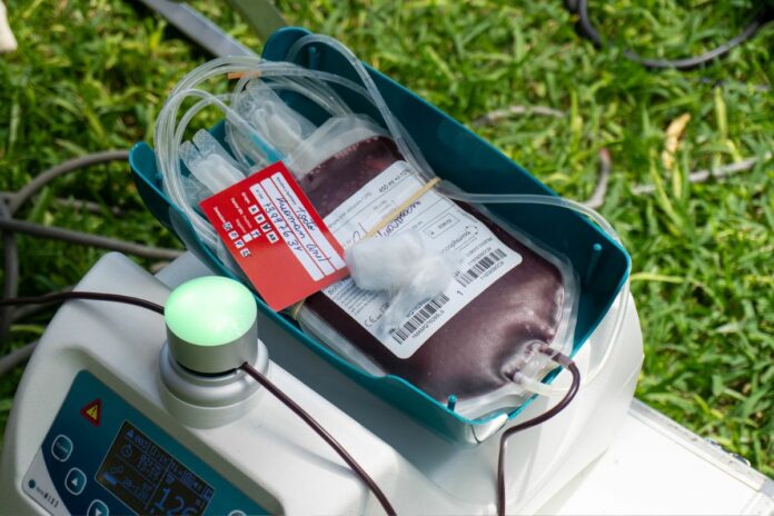 Transfusions sanguines : les Témoins de Jéhovah assouplissent leur doctrine