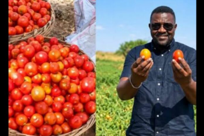 Ghana : John Dumelo rachète une récolte de tomates menacée de pourrir