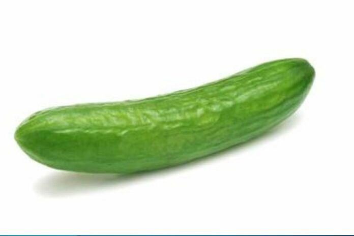 Concombre : un légume discret, mais précieux pour l’organisme