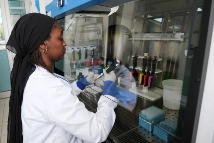 L’épidémie de fièvre de Lassa continue de progresser au Nigeria. Depuis le début de l’année, la maladie a causé 252 décès sur un total de 1 035 cas confirmés, selon les données du Centre nigérian de contrôle et de prévention des maladies.