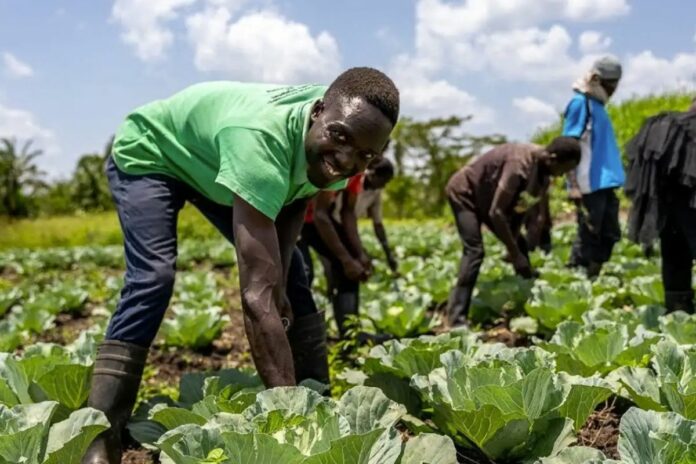 Bénin : les six pôles de développement territorial et les communes concernées