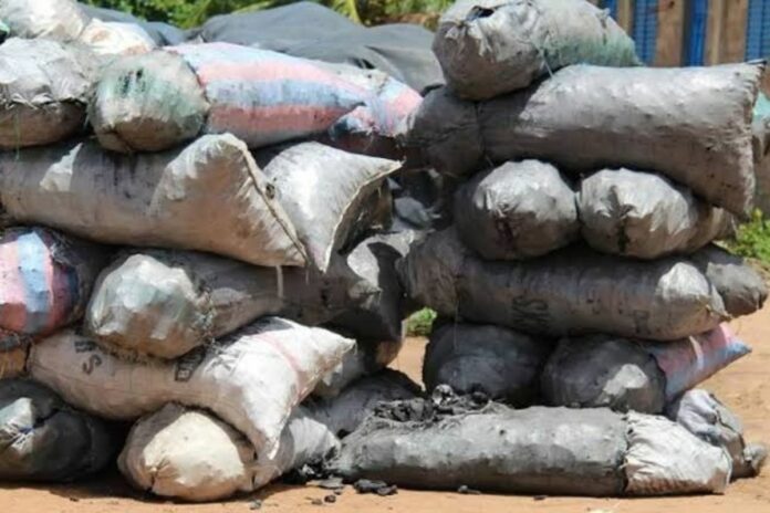 Bénin : la flambée du prix du charbon de bois pousse l’État à revoir sa stratégie