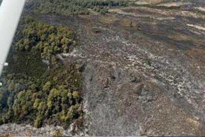 Kenya : un incendie ravage 8 700 hectares sur le mont Kenya