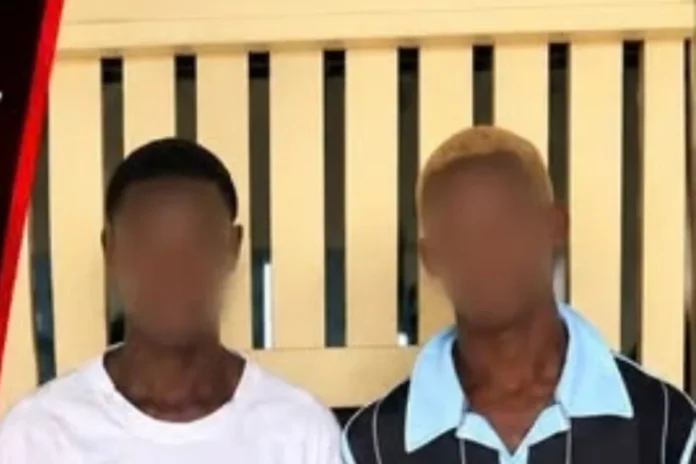 Côte d'Ivoire : deux ados cambriolent deux écoles à Abobo et repartent avec plus de 9 millions de FCFA