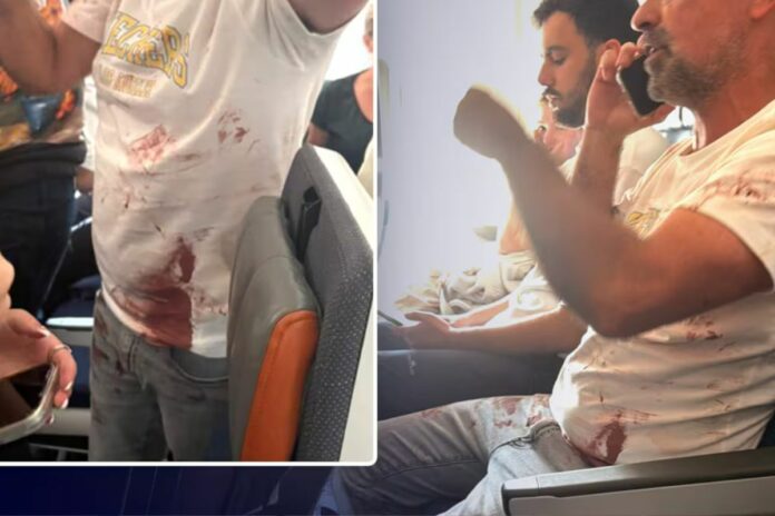 Vol Flydubai vers Israël : après l’attaque d’un pilote, les passagers prennent le contrôle du cockpit