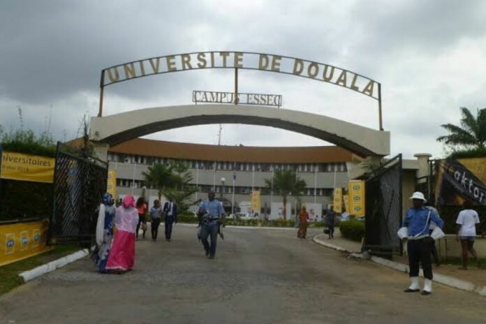 Rentrée universitaire 2026-2027 : le Cameroun veut rapprocher l’université du marché de l’emploi