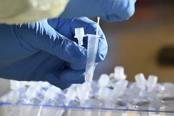 Sibérie : une employée meurt de la peste dans un laboratoire, 200 personnes placées en isolement